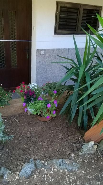 Apartment Anny Pula Dış mekan fotoğraf