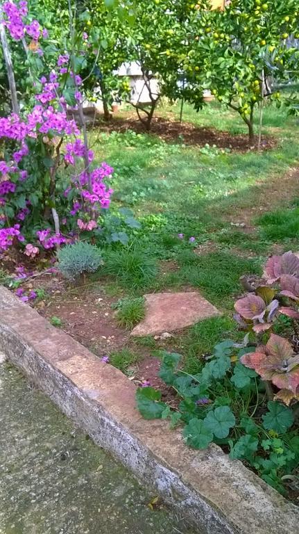 Apartment Anny Pula Dış mekan fotoğraf